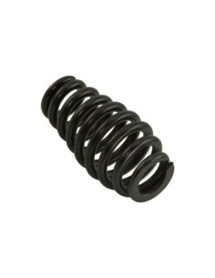 Spring Fork Spring Black.